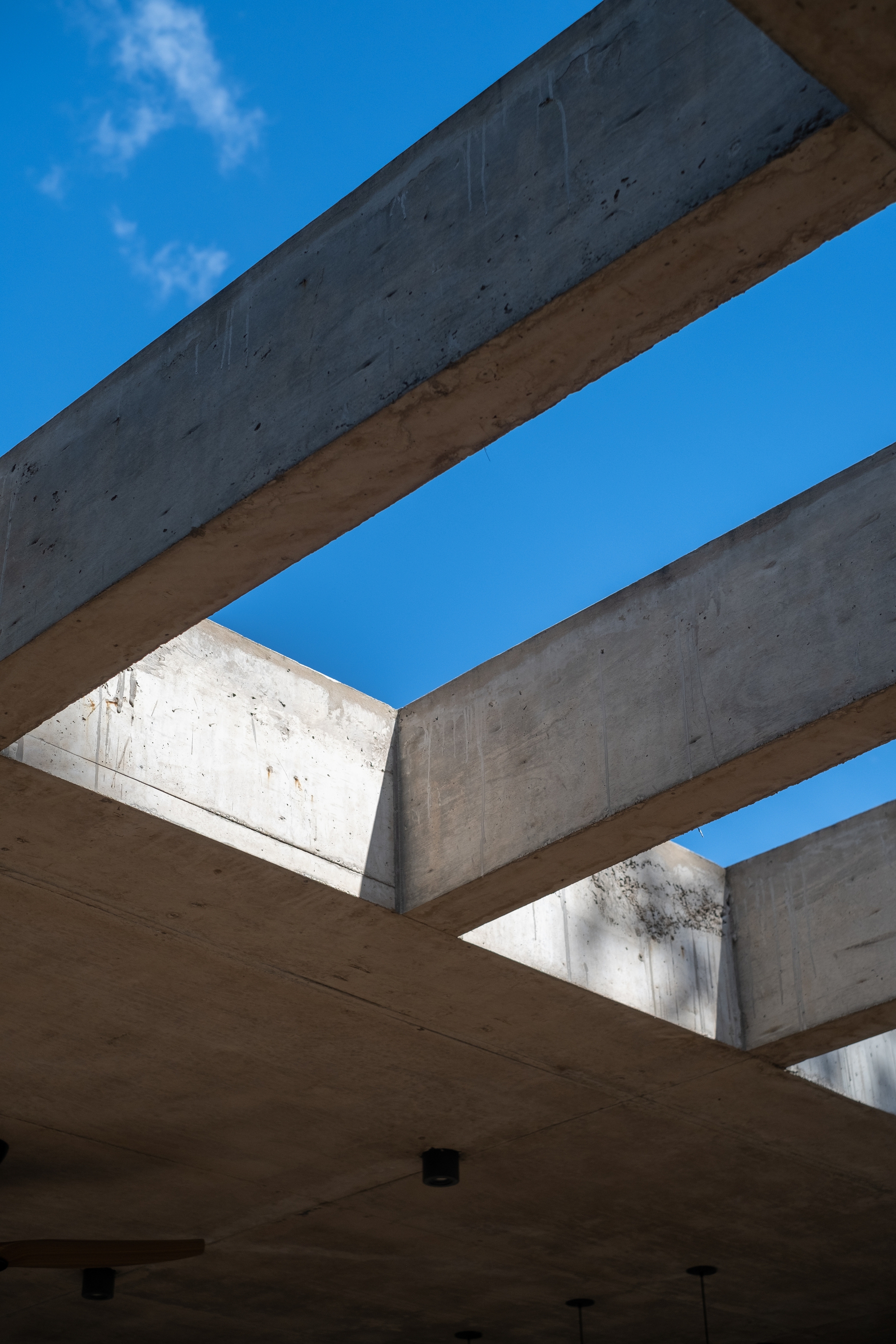 丨阿根廷丨Florencia Cheli-27