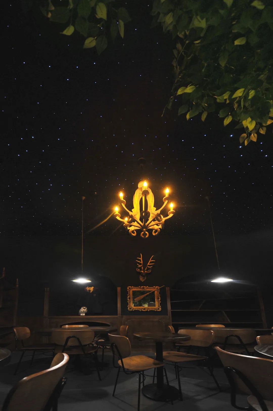 南京优言美语英语学习中心 | 阳光下的趣味学习空间-127