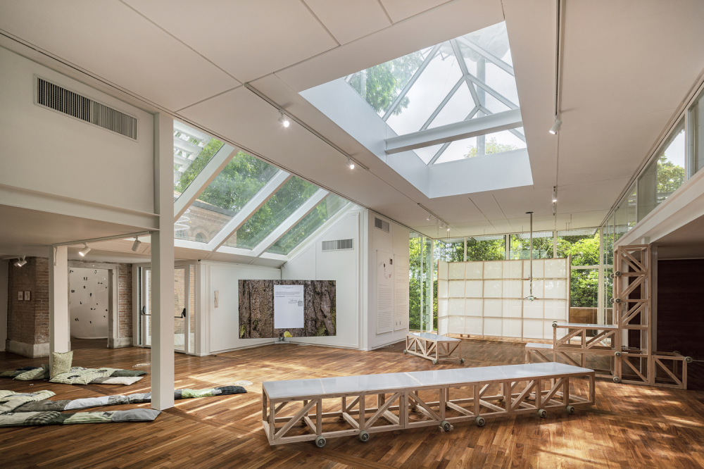 2025威尼斯双年展韩国馆“小蟾蜍,小蟾蜍:解构展馆”展览丨法国尼斯-0