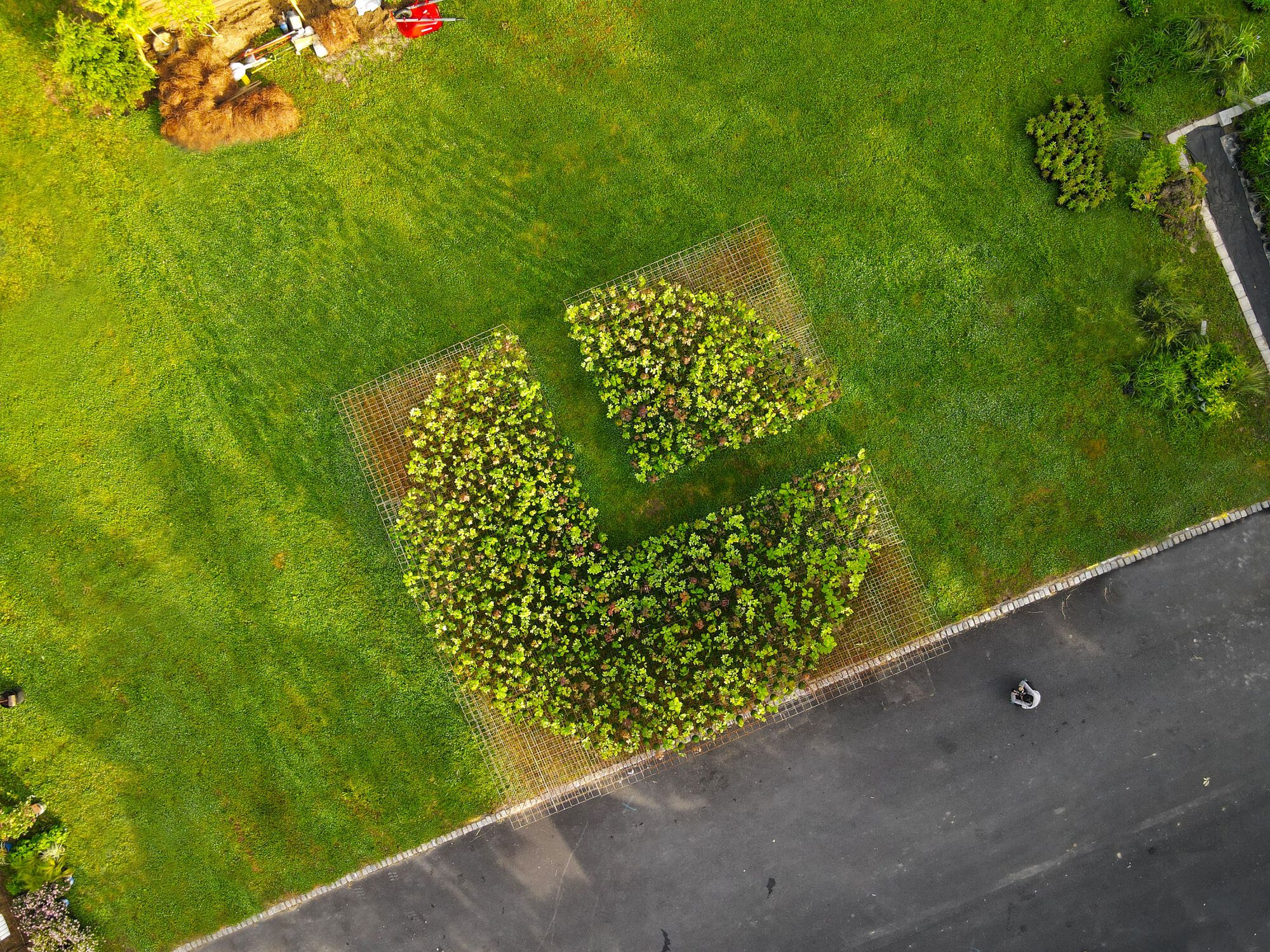 Kokedama Forest Installation，可持续微型森林雕塑-28