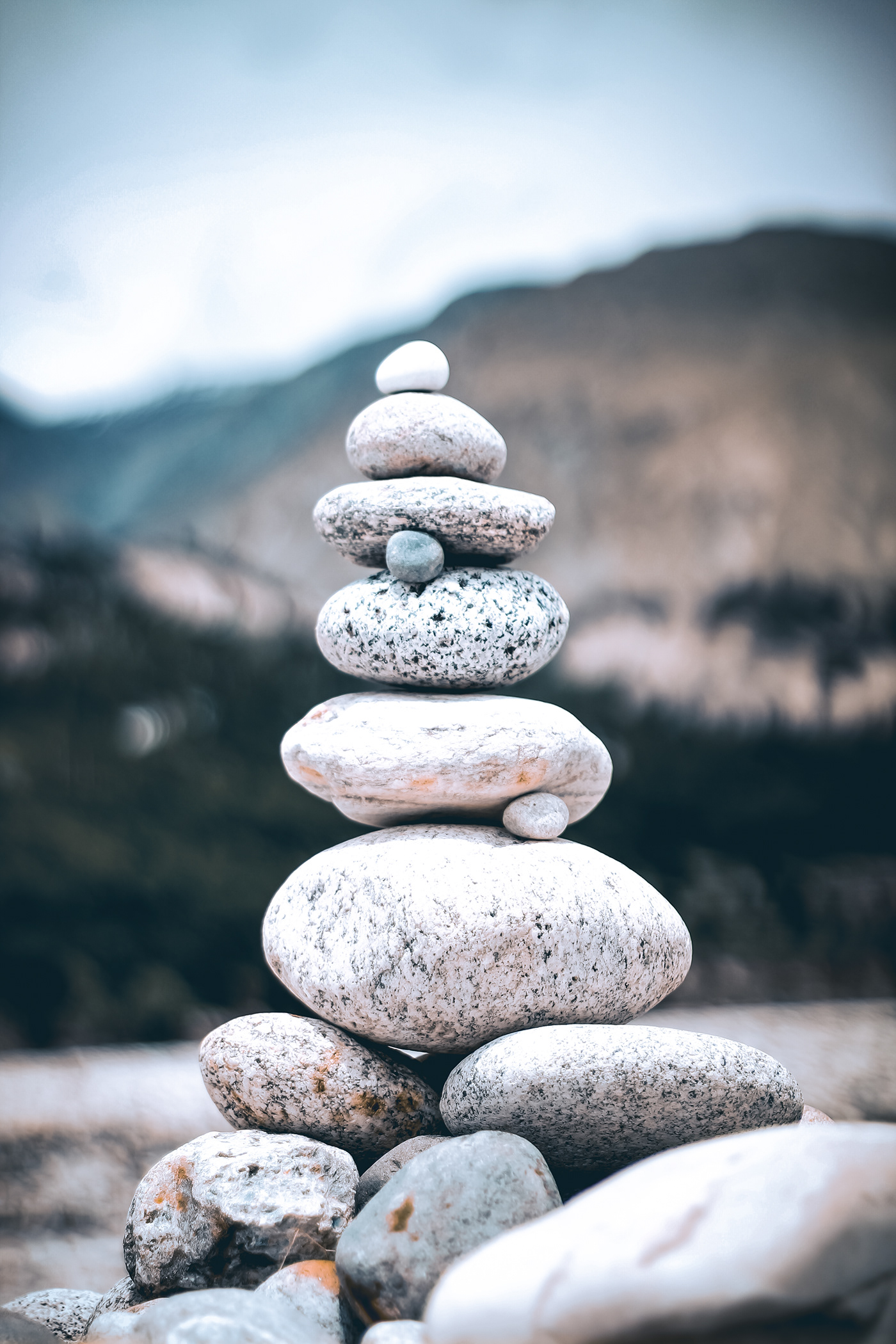 Nature Photography-0