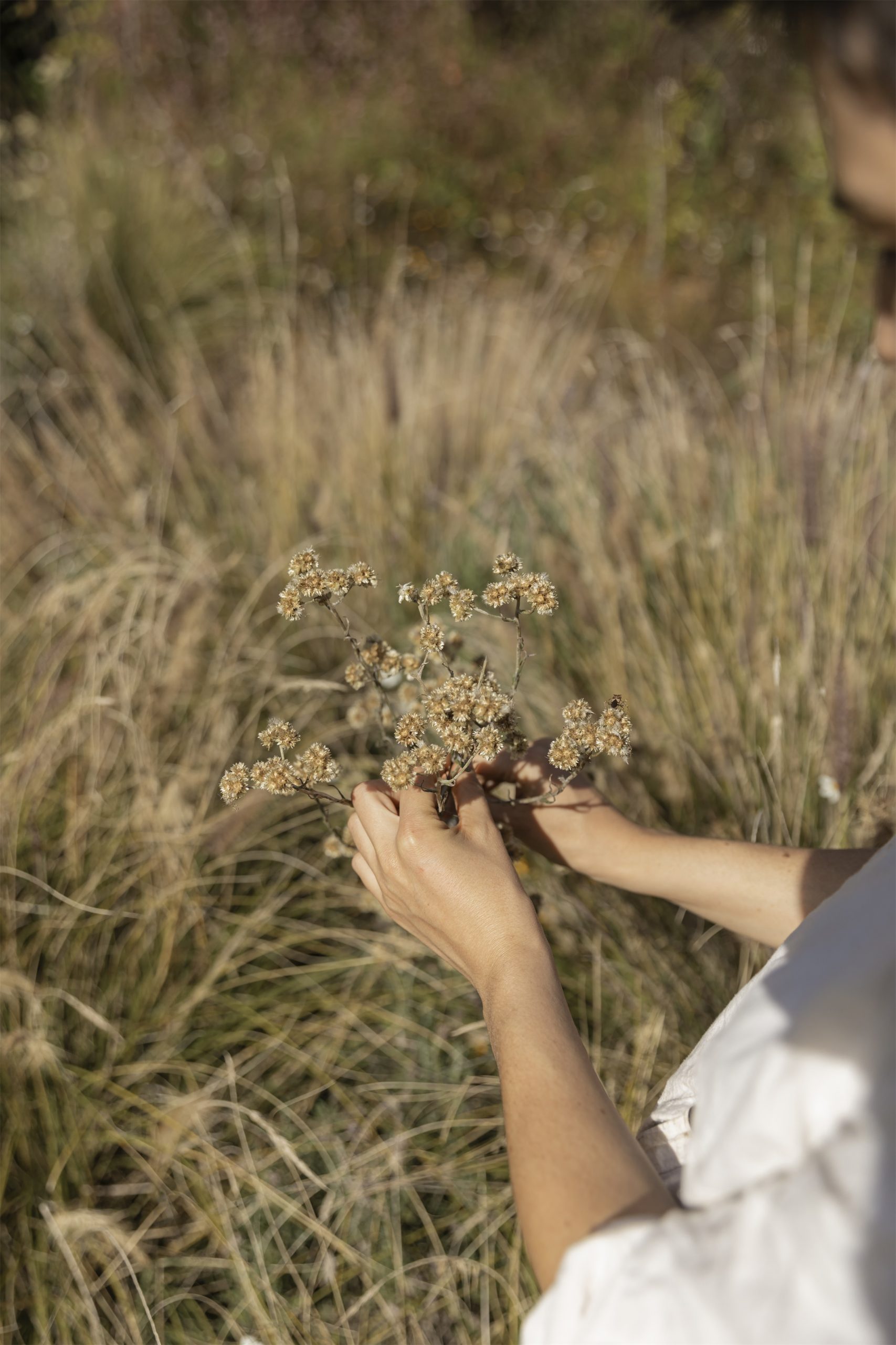 草甸景观设计-16