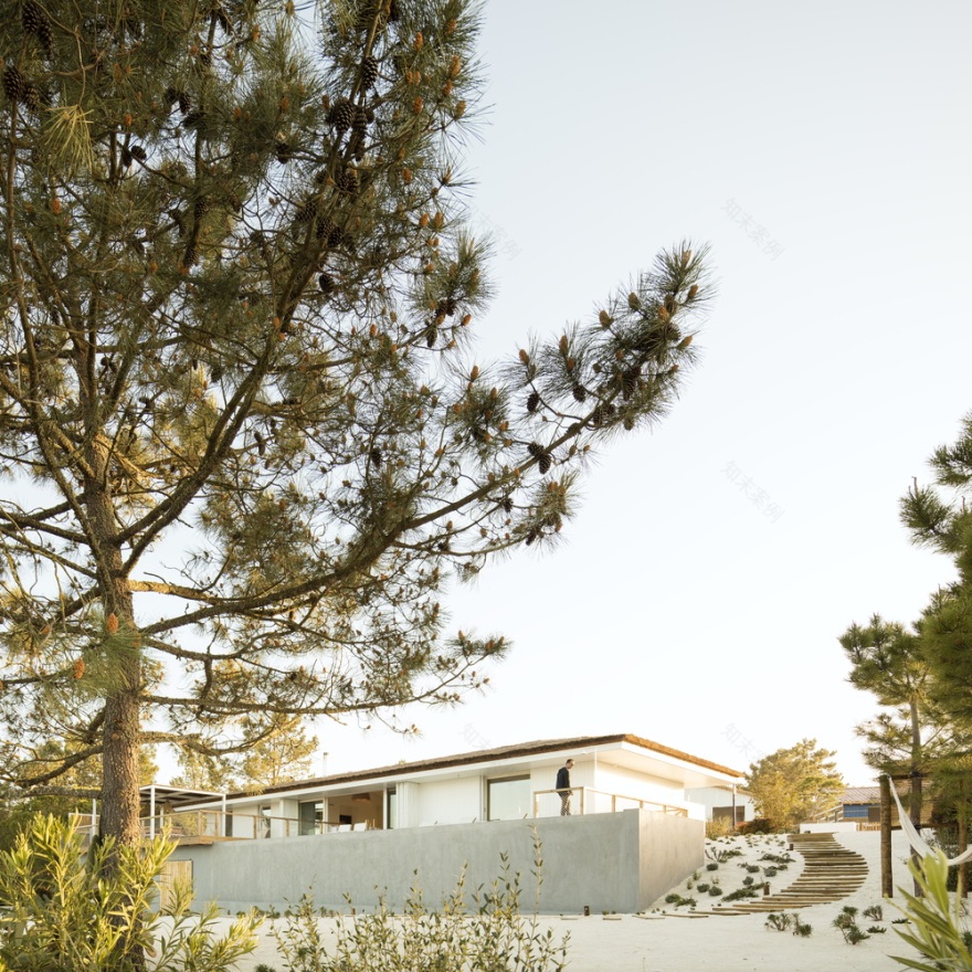 葡萄牙 Comporta 地区 L10 别墅 | 自然与建筑的和谐共生-30