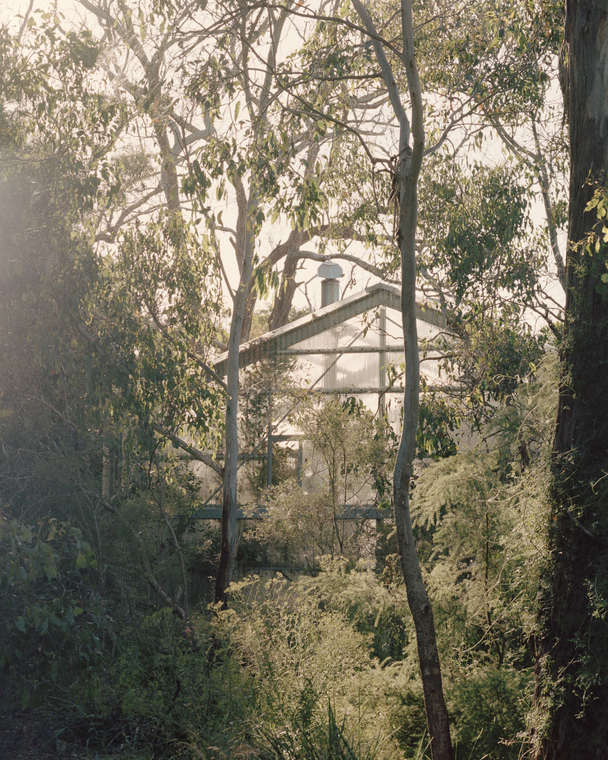 花园住宅丨澳大利亚丨Baracco+Wright Architects-13