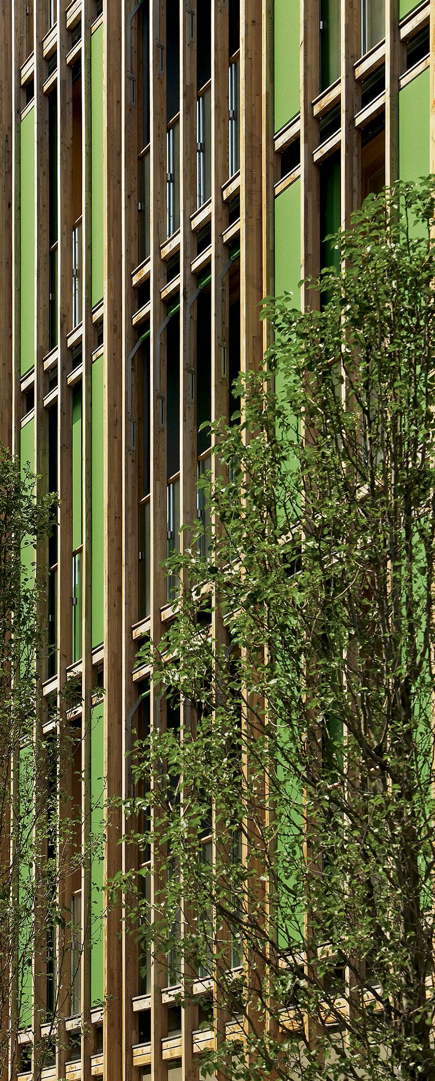 绿色都市新地标——意大利 Trento Le Albere 社区与 MUSE 博物馆-18