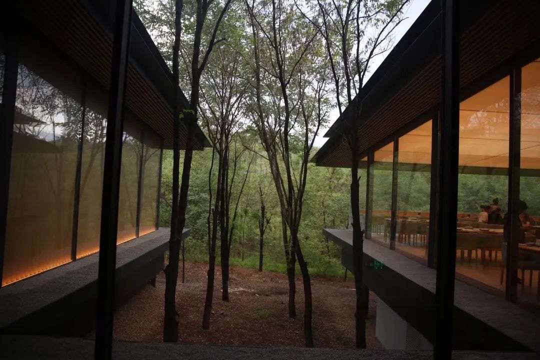 阿那亚的海、建筑与艺术 | 探索海边孤独的图书馆与礼堂-41