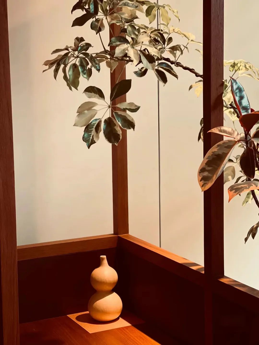 Aesop 伊索北京首店-18