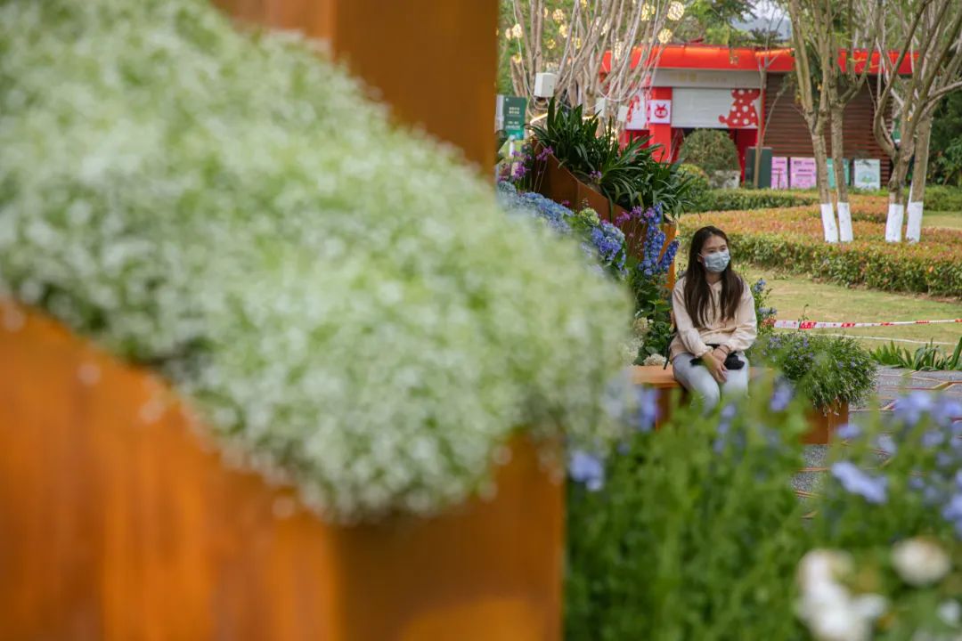 2023德阳市花月季展德阳园 | 齿轮花园-143