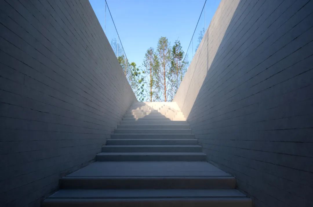 长江上的悬浮森林 | 重庆中海 · 十里长江-51