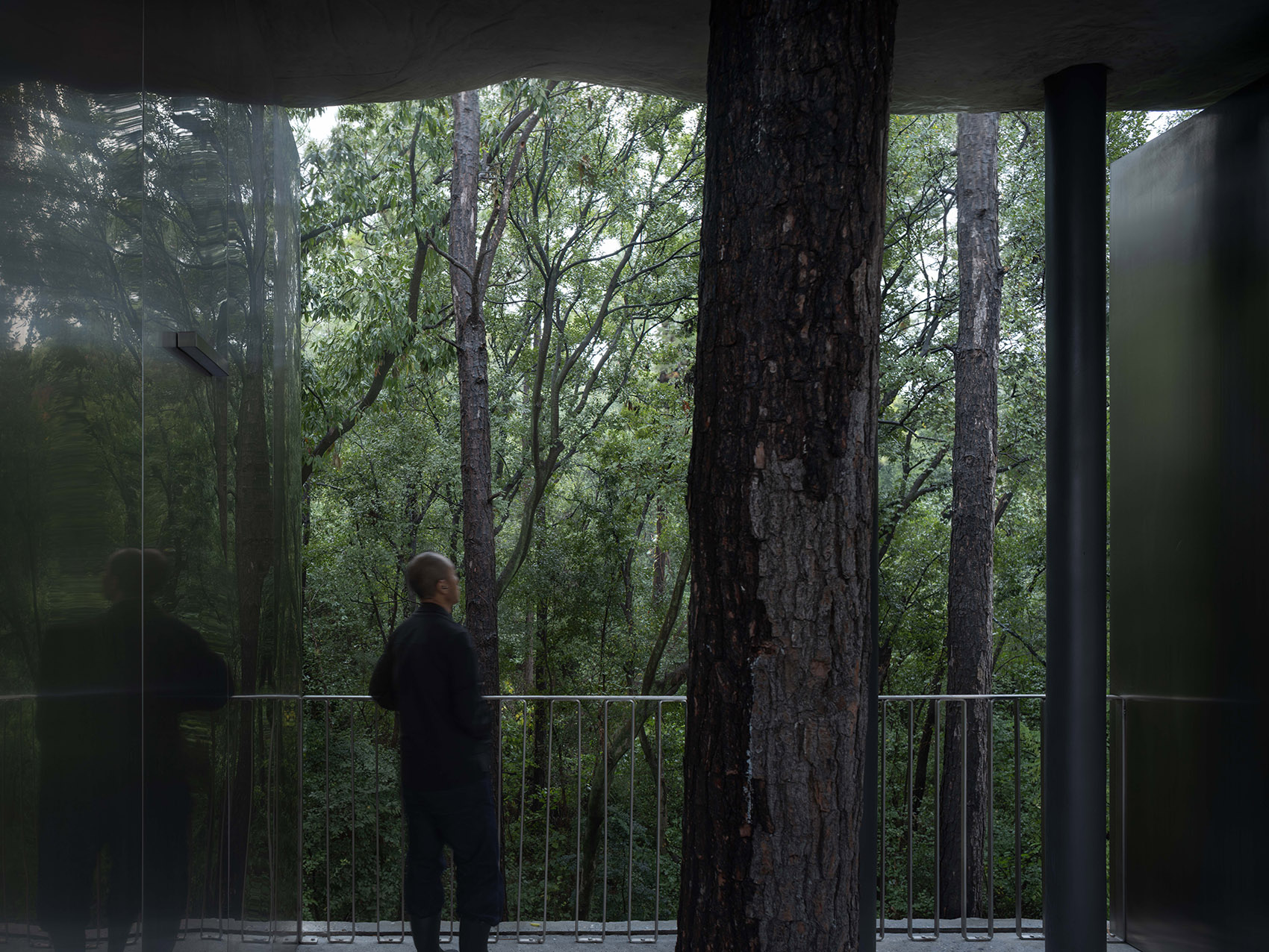 谷里的窗,树上的云,南京四方艺术湖区公共卫生间丨中国南京丨南京大学建筑规划设计研究院有限公司 物物建筑-50