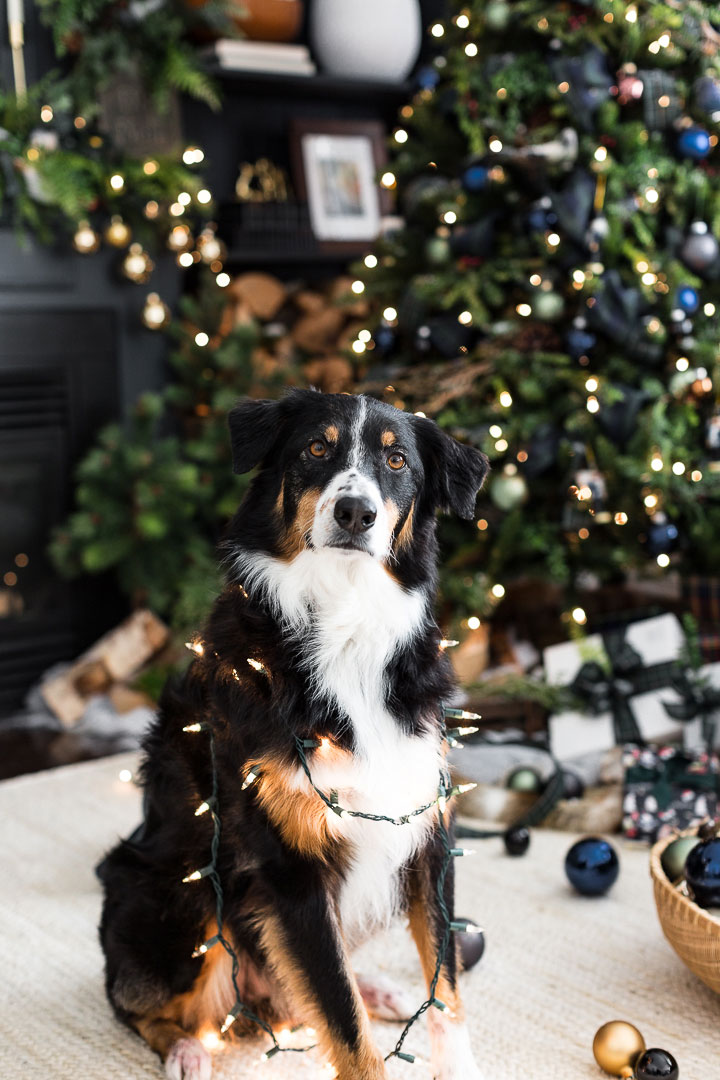 美式家居经典圣诞风 | 布满拼接图案的室内设计-6