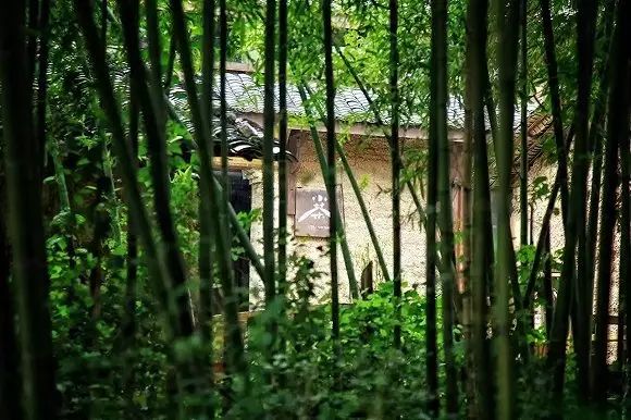 躲进茶园深处的农家小院，喝杯茶守候时光-13