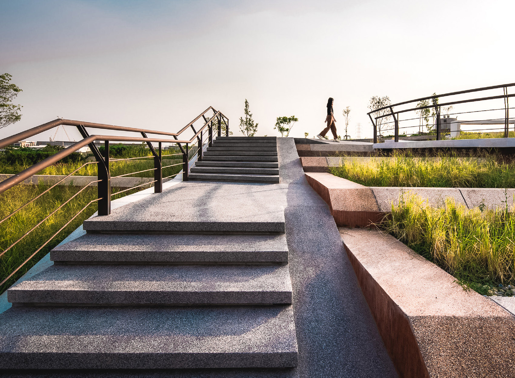 泰国国立法政大学屋顶有机农场-16