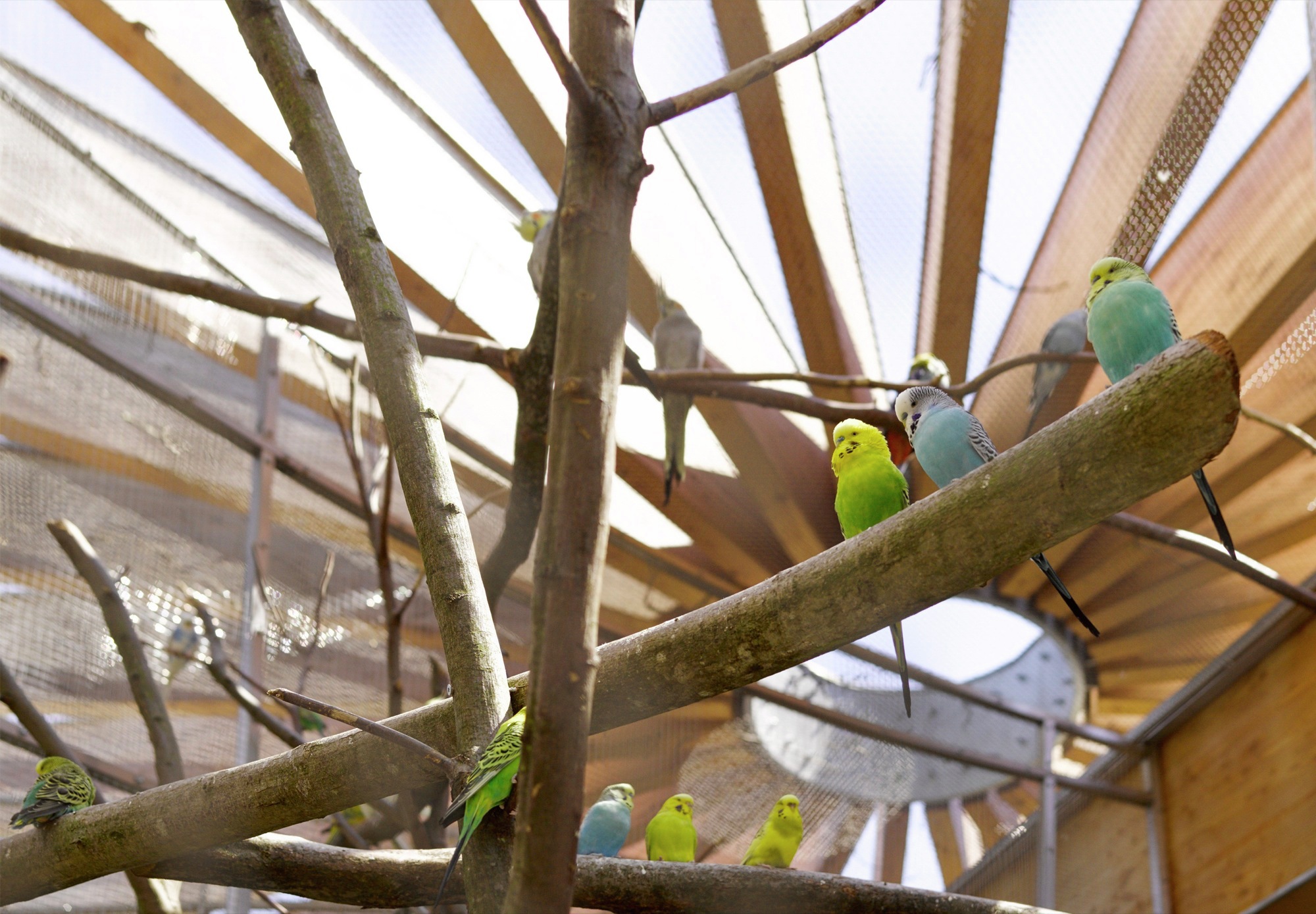 德国厄赫林根宠物动物园设计丨Kresings Architektur-22