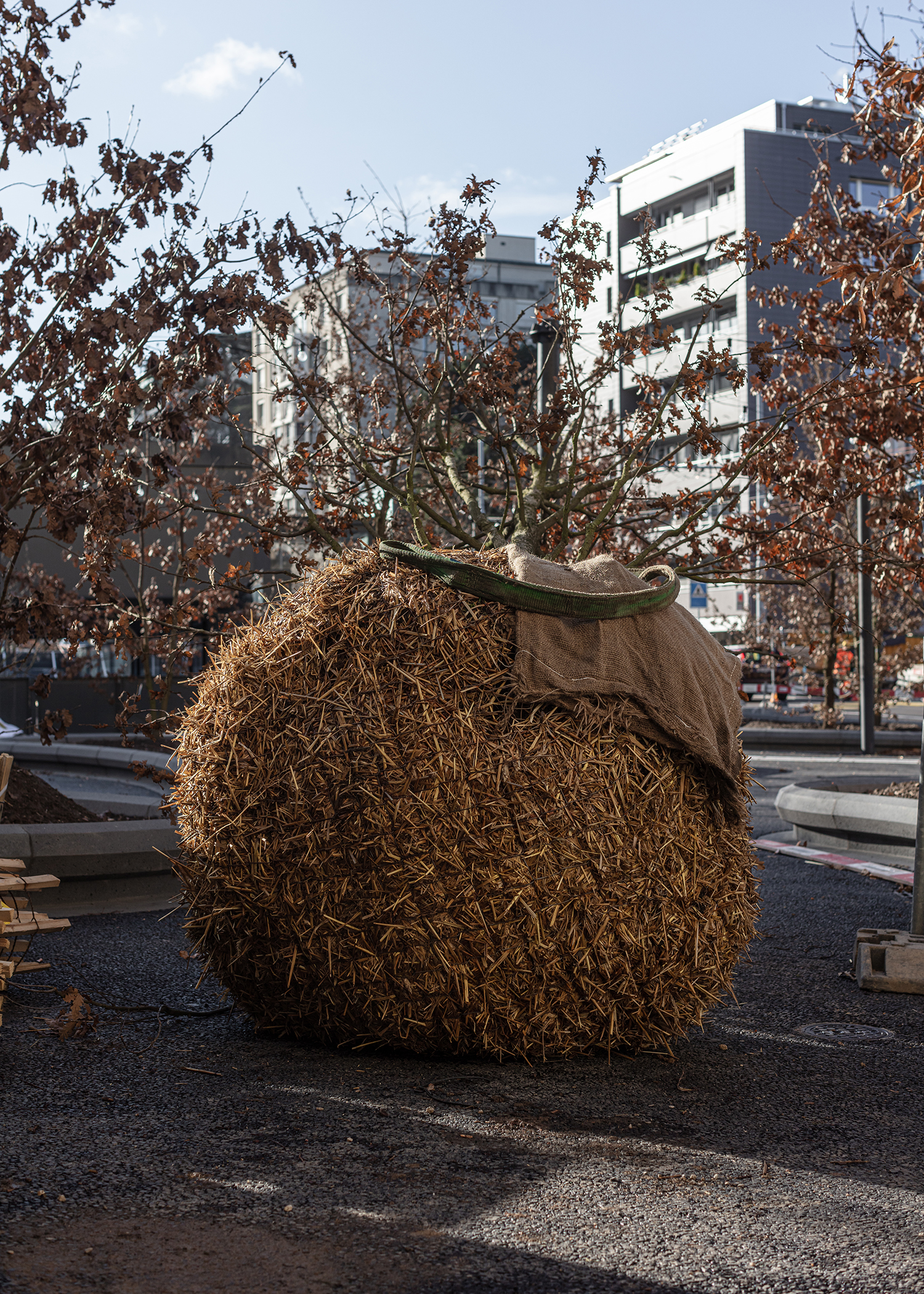 7000 Oaks 与城市生态共生的艺术设计-26