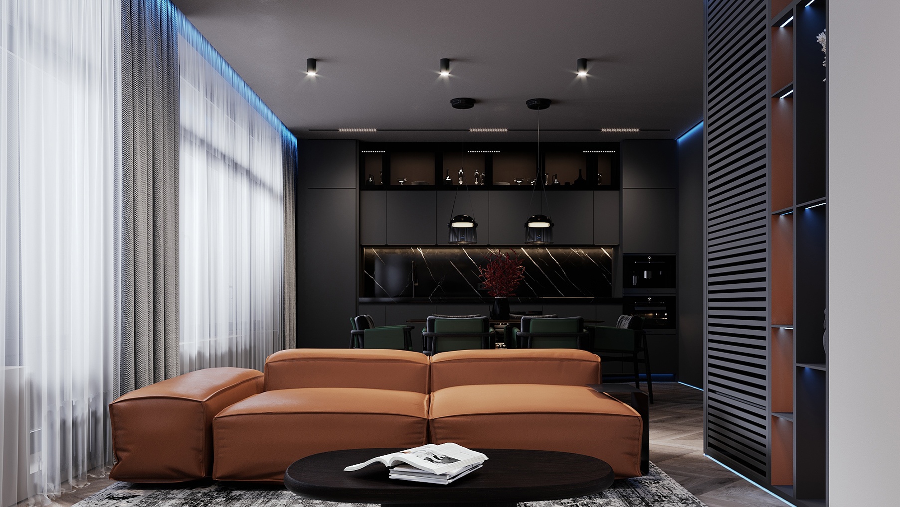 俄罗斯 74㎡深色系空间设计-1