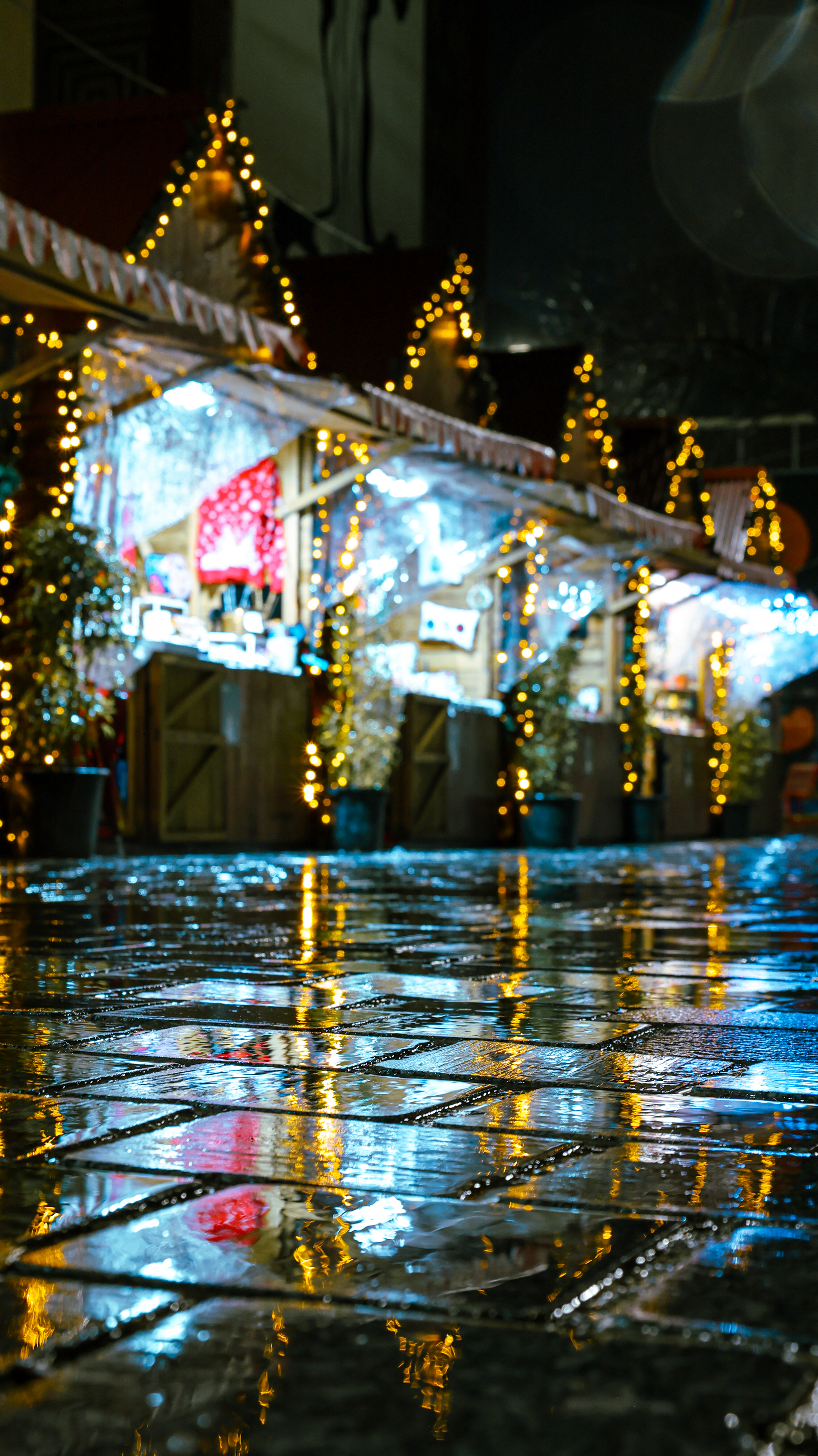 Natal em Famalicão e Trofa, Portugal-0