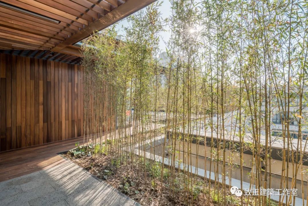 上海屋上三间 | 融于自然的轻钢结构会务空间-72