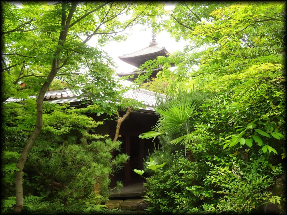 旧竹内栖鳳邸「東山艸堂」 ―THE SODOH HIGASHIYAMA KYOTO（ザ ソウドウ 東山 京都） ―造形礼賛-56