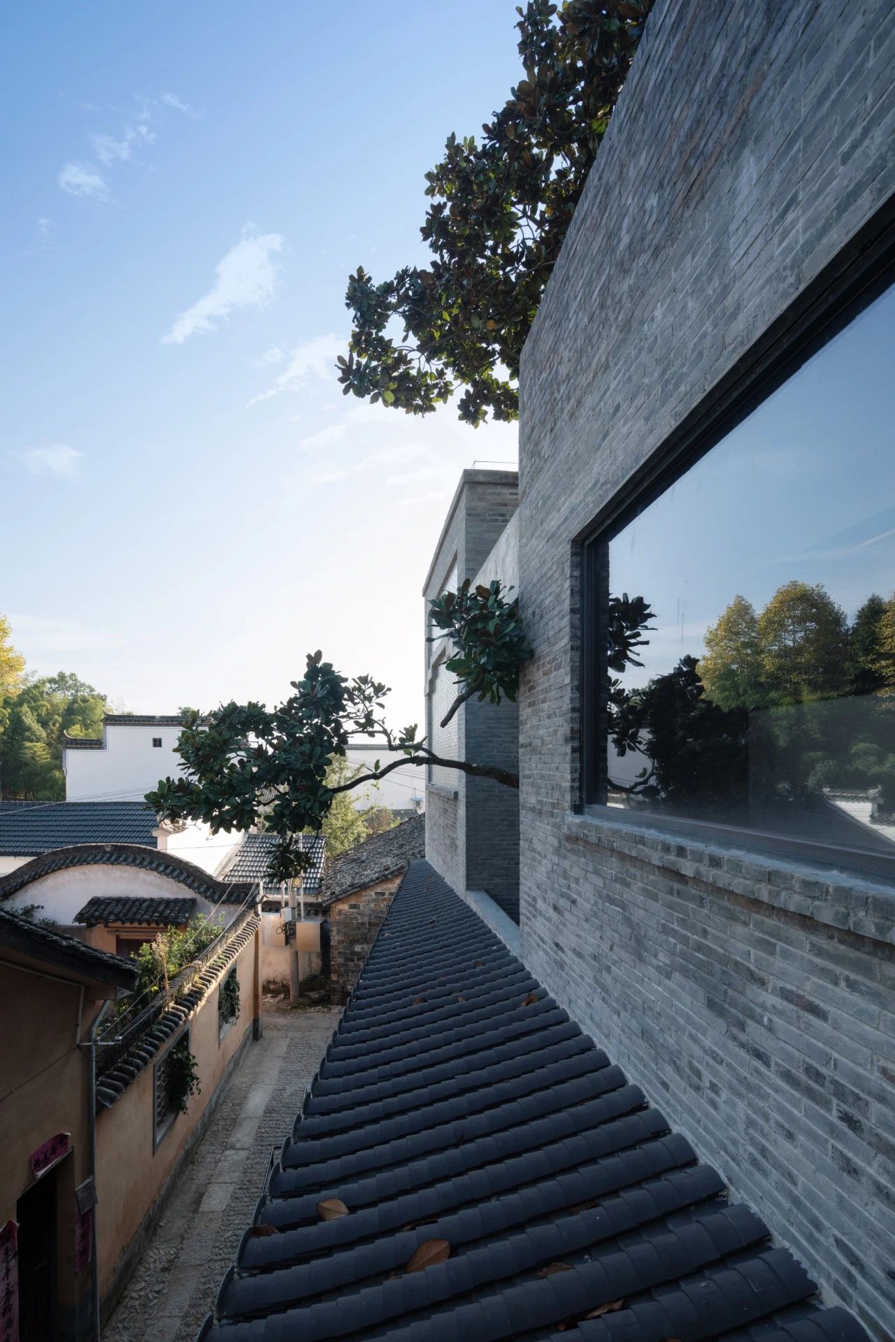 严旸新作｜黟云 · 碧山酒店-106