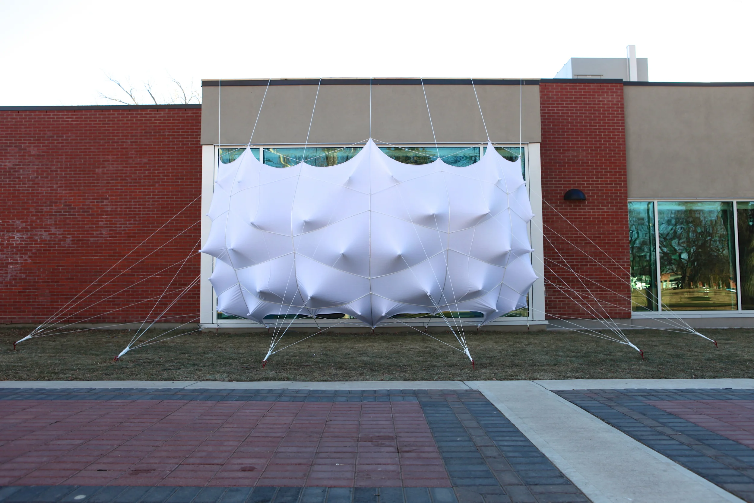 蜂群;一群(昆虫、人等);一大群;蜂拥而至;成群移动;云集丨加拿大丨Lancelot Coar-9