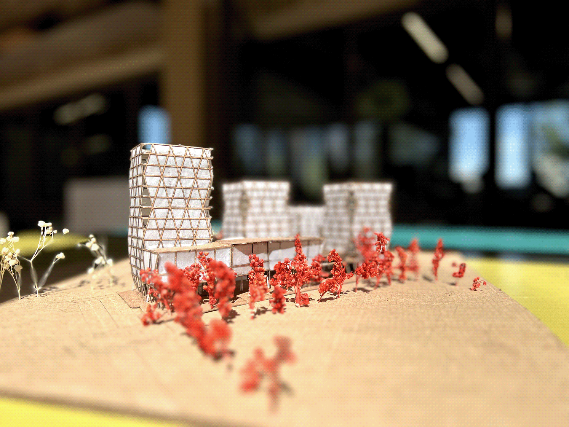 ARQT3101: Teatro experimental Rionegro TEX-R-9