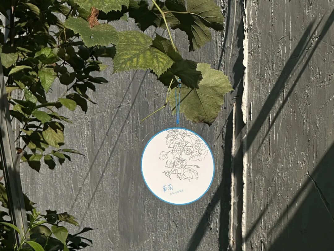 CACPA|花花花画画画-31