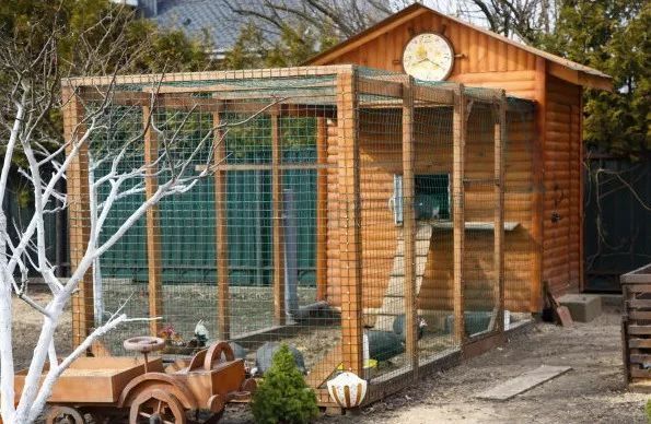 余生,一座小院,粗茶淡饭,爱人在侧-9