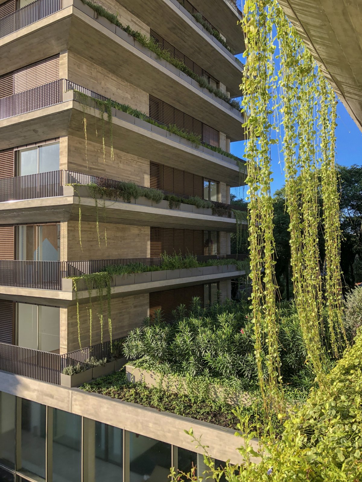 伊卡罗·雅尔丁斯·达·格拉西奥萨大厦丨Studio Arthur Casas-12