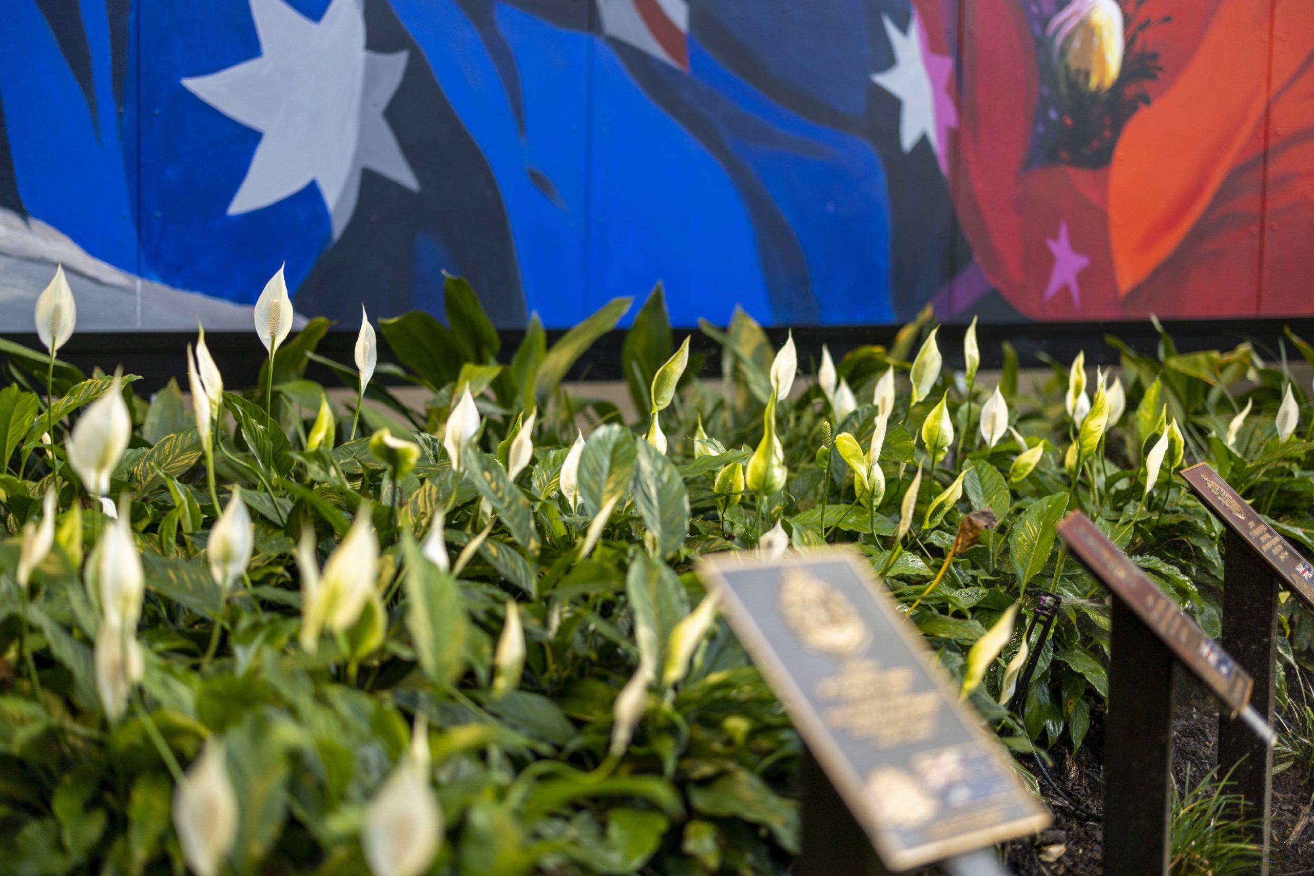 阿富汗战争纪念馆丨中国兰州丨Tanya Wood Landscape Architecture-17