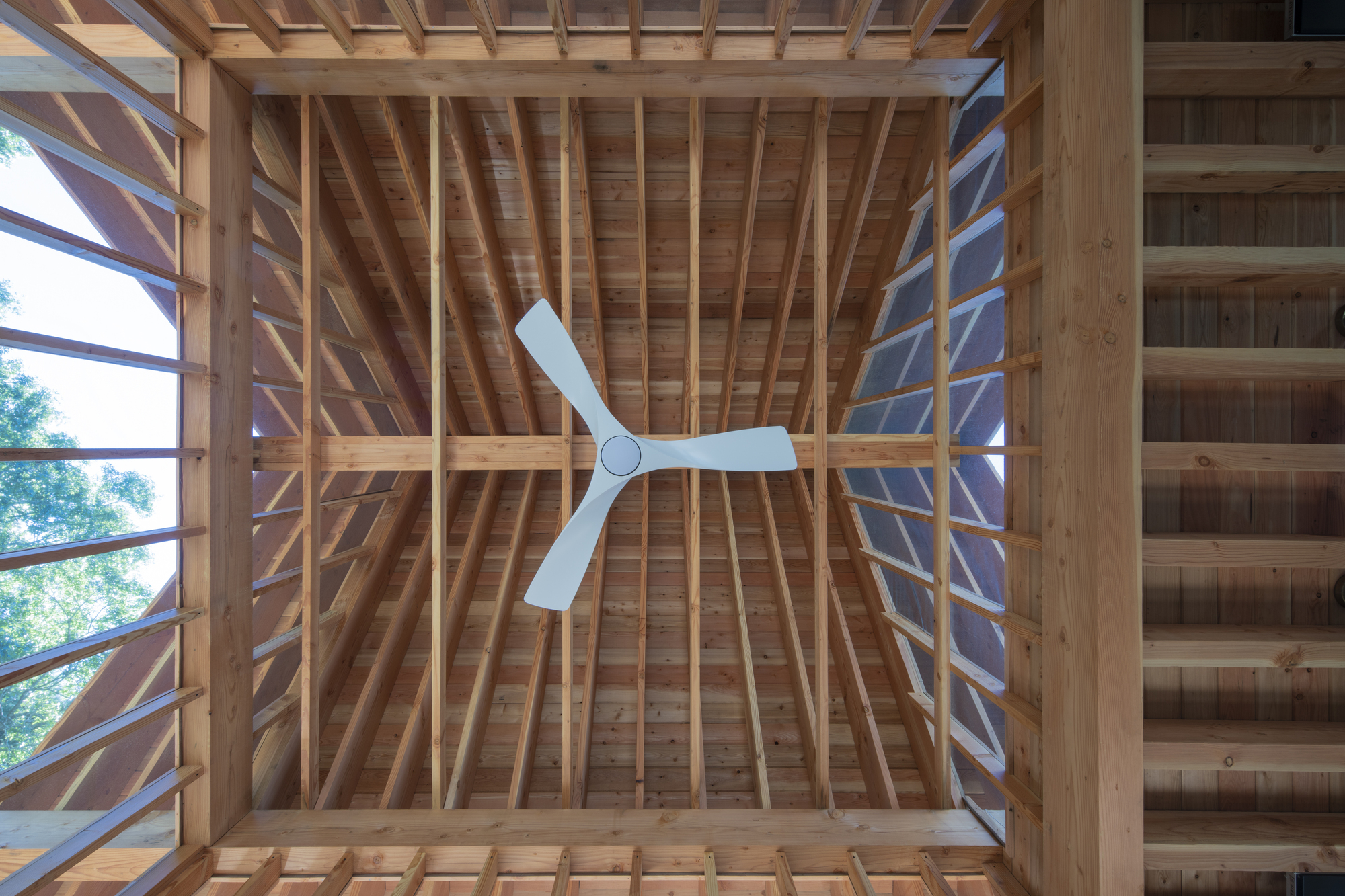 沼泽谷丨美国丨BLDUS-29