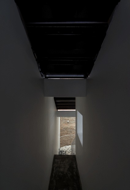 Backyard House  AD+studio-74