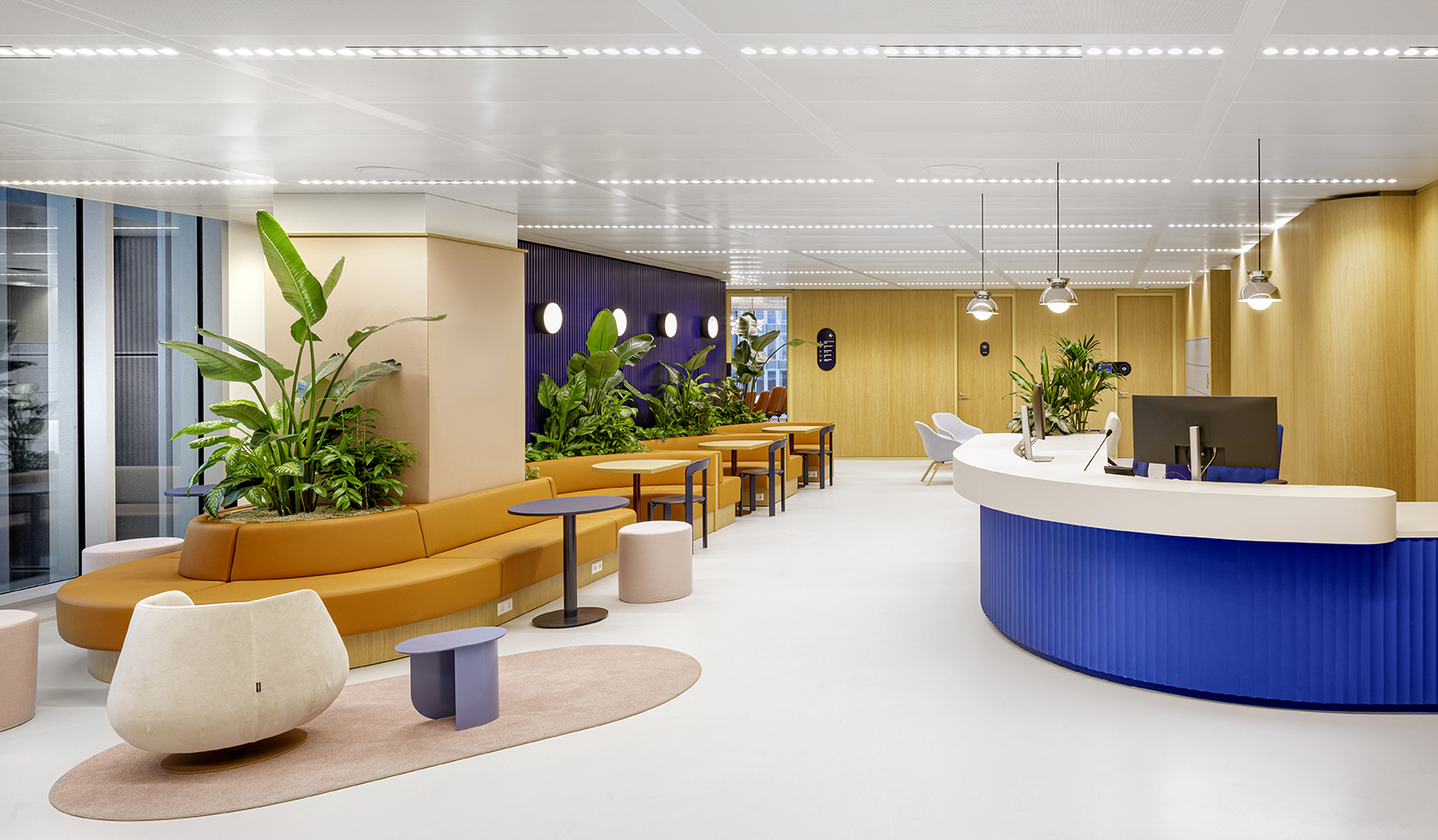 丨荷兰阿姆斯特丹-0