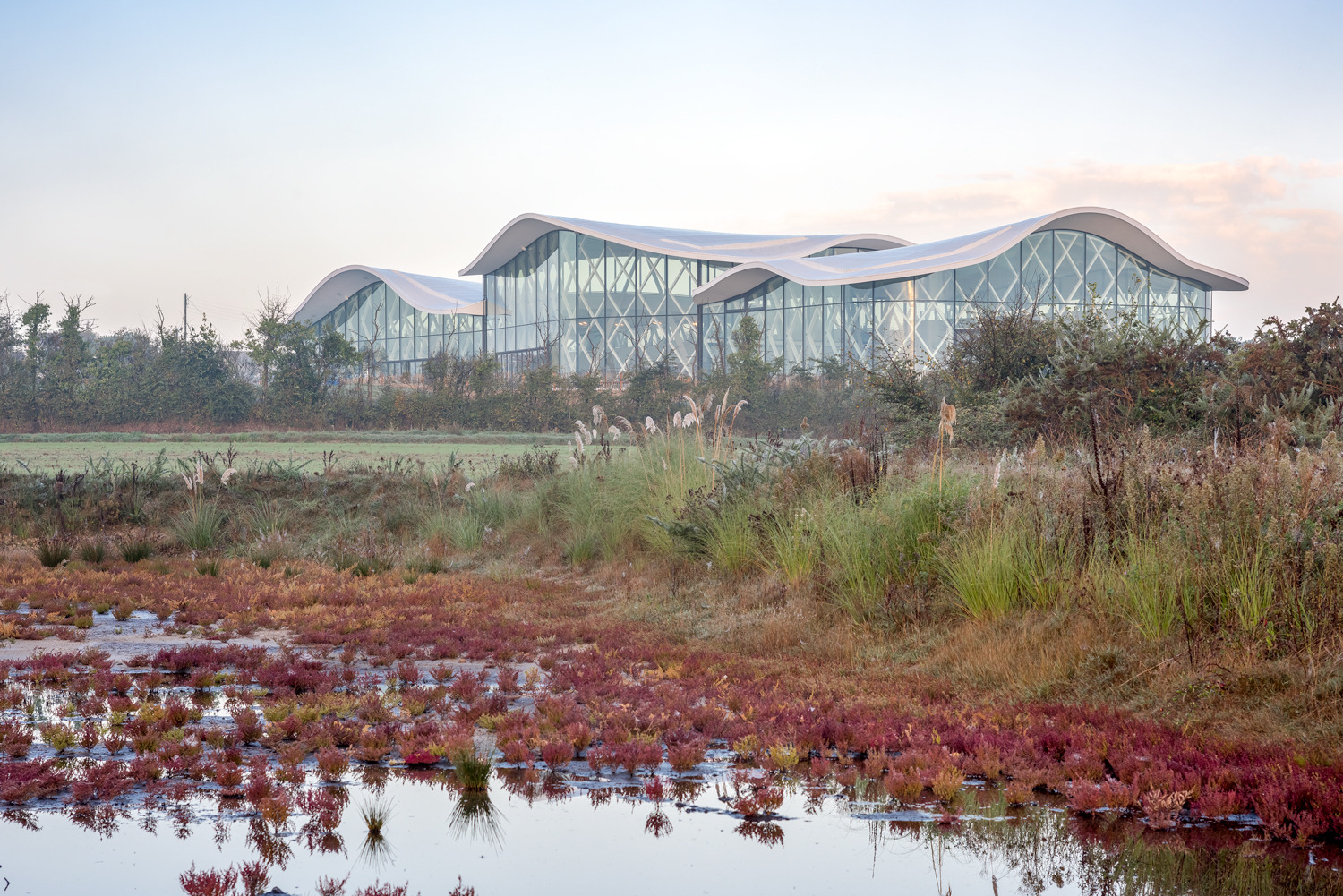 体育馆丨MultiplexeAquatique-20