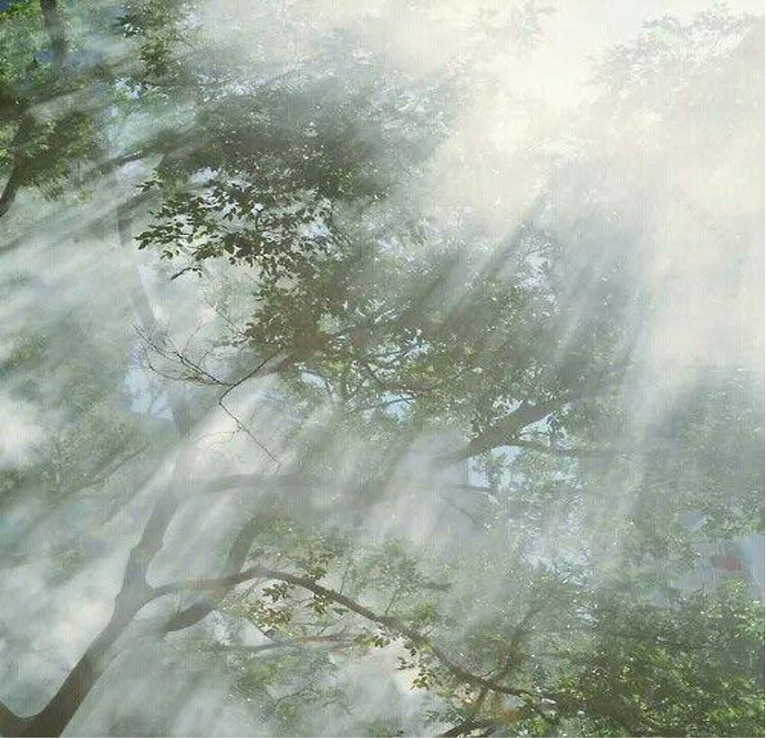 栖上民宿丨中国四川丨ABD琥珀设计-19