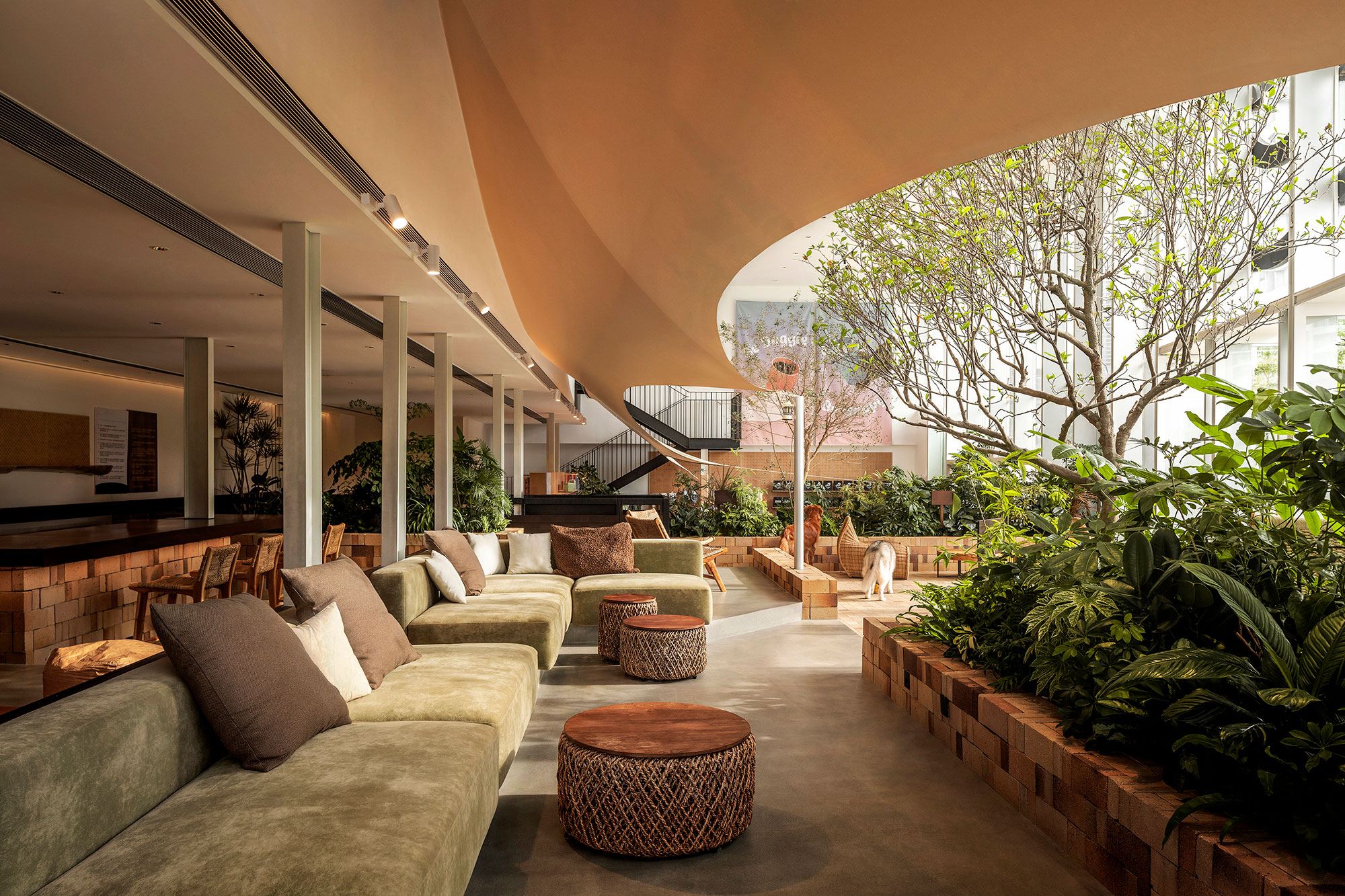 咖啡店丨中国深圳丨Pure & Wild Studio朴野设计-13