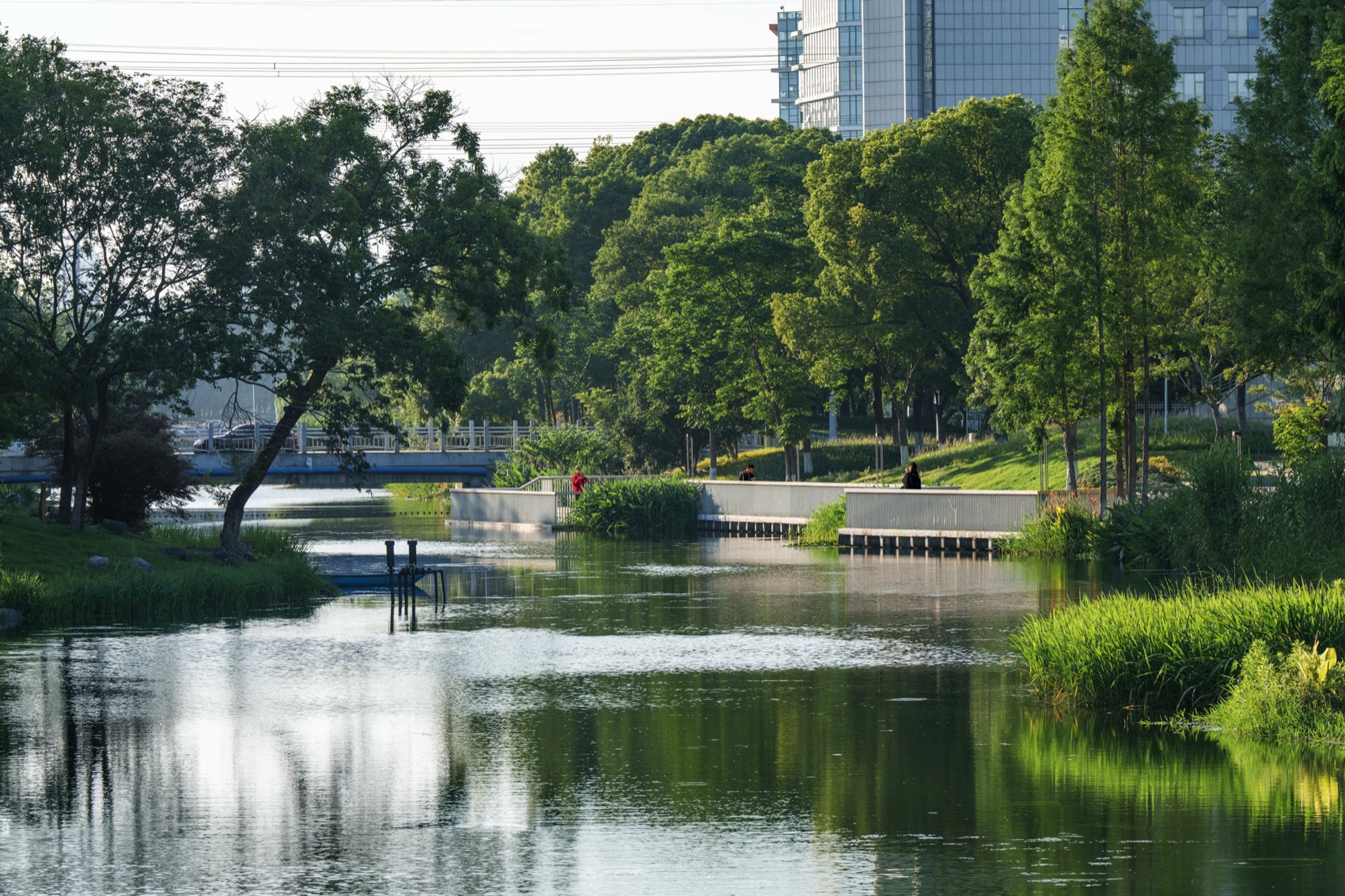 无锡菱湖大道沿线景观提升丨中国无锡丨MYP迈柏-81