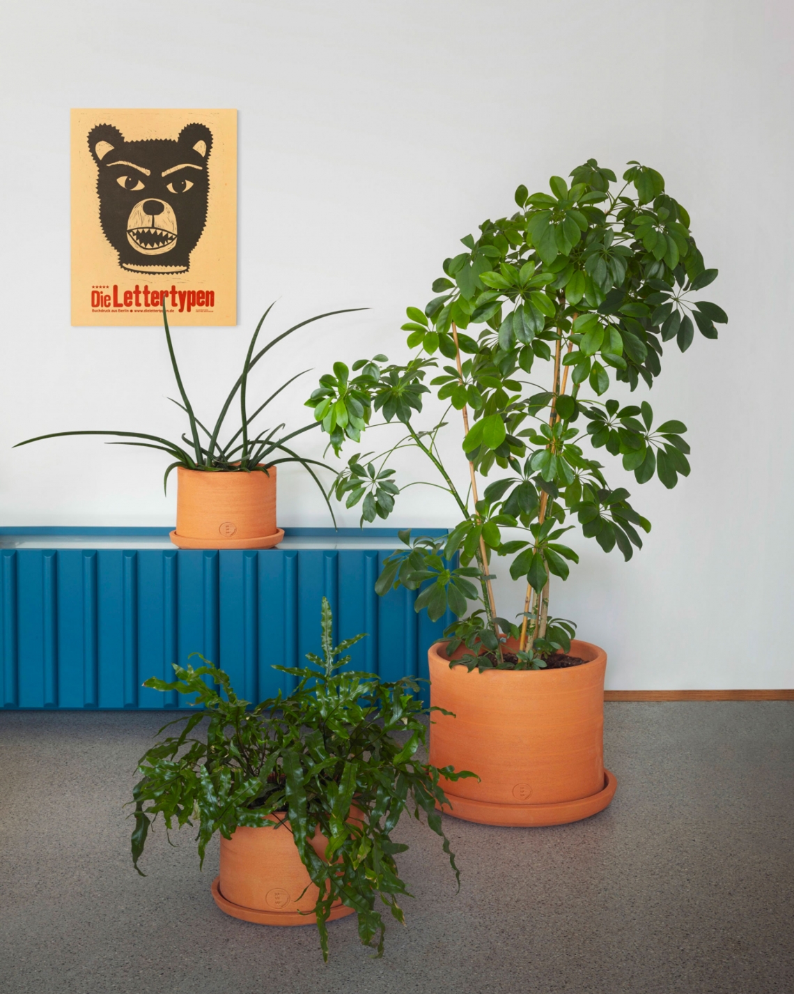  vavava' . miniforms-6