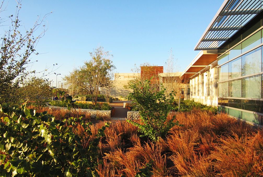 数据牧场丨美国奥斯汀-7