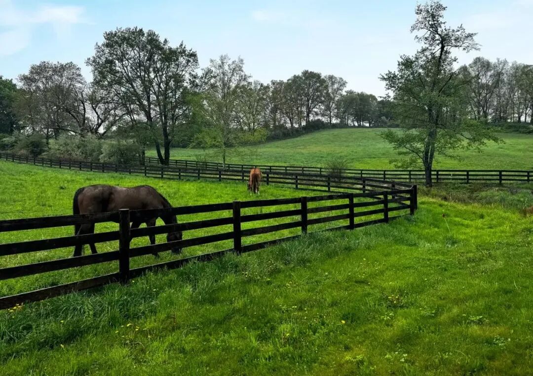 标志性的达林顿大厅庄园：威彻斯特马乡的英伦绅士殿堂-43