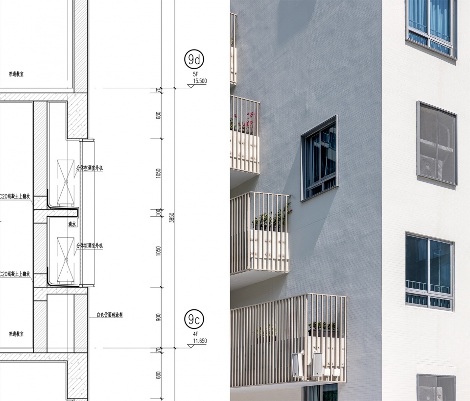 深圳桃园小学 | 高楼林立下的“城市绿洲”-102