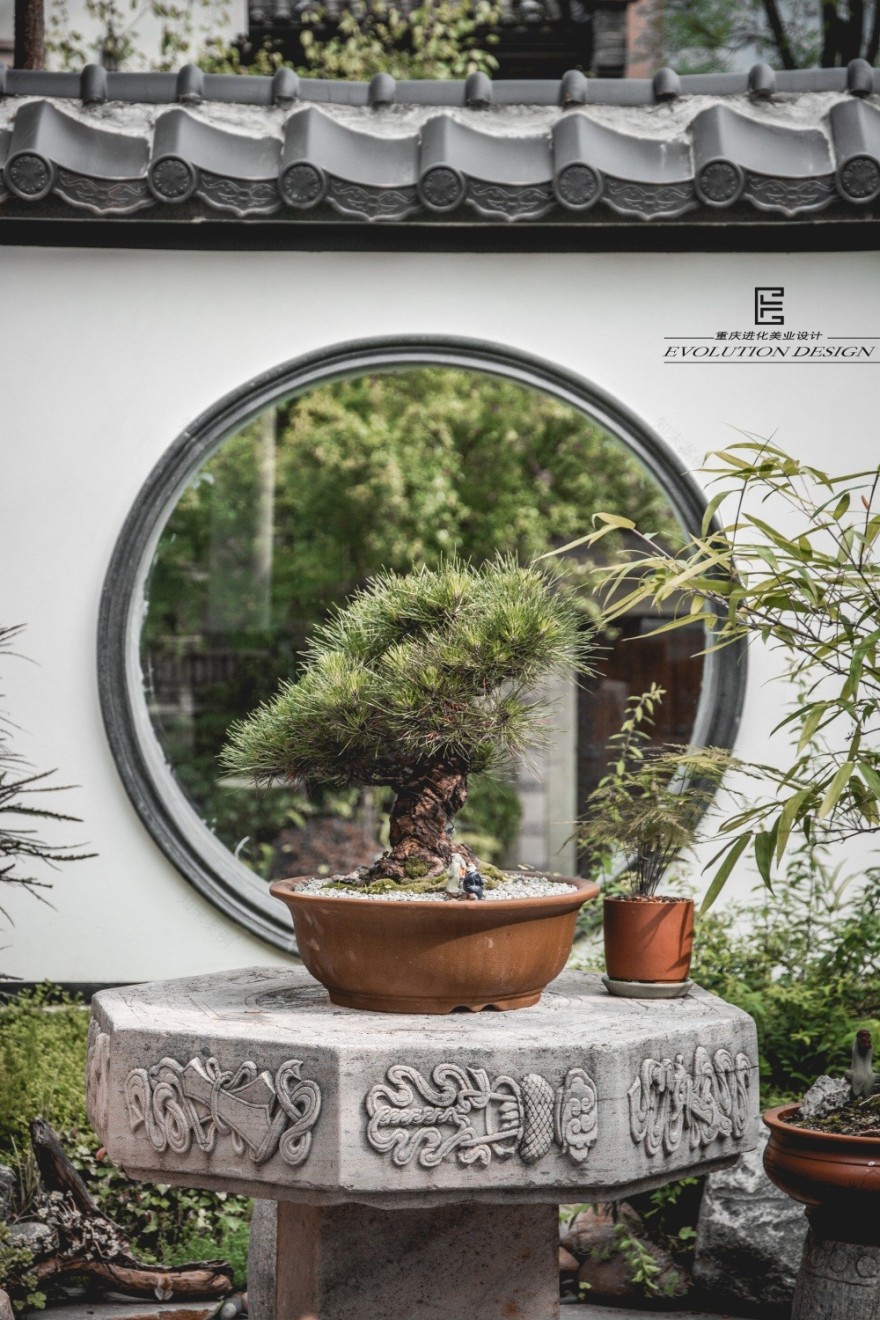 进 化 | 明 月-18