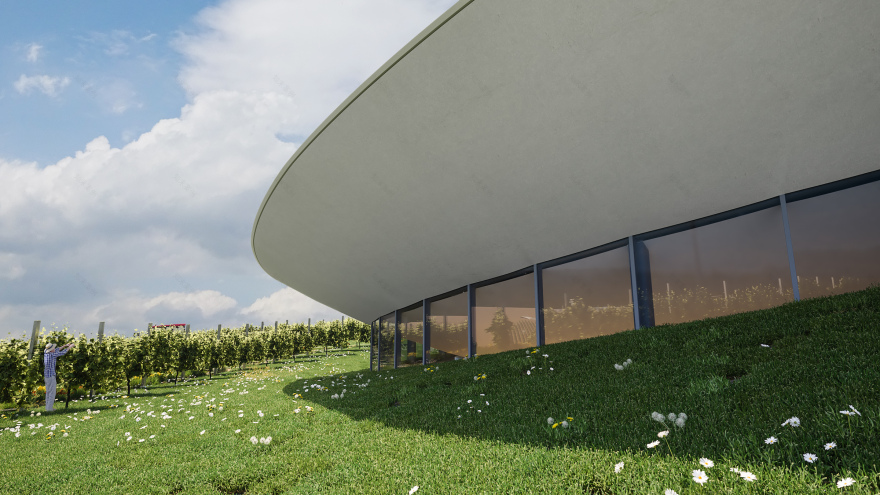 精灵之眼,索斯卡酒庄设计 / Homologue Studio-19