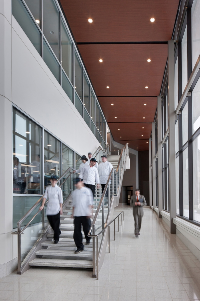 Ohio 社区学院烹饪艺术中心 | 公共剧院式的教学空间-10