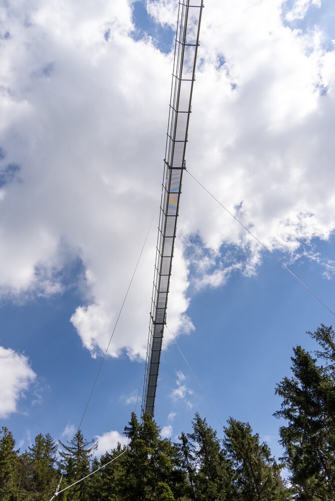 天空之桥 721丨捷克丨TAROS NOVA a.s.-46