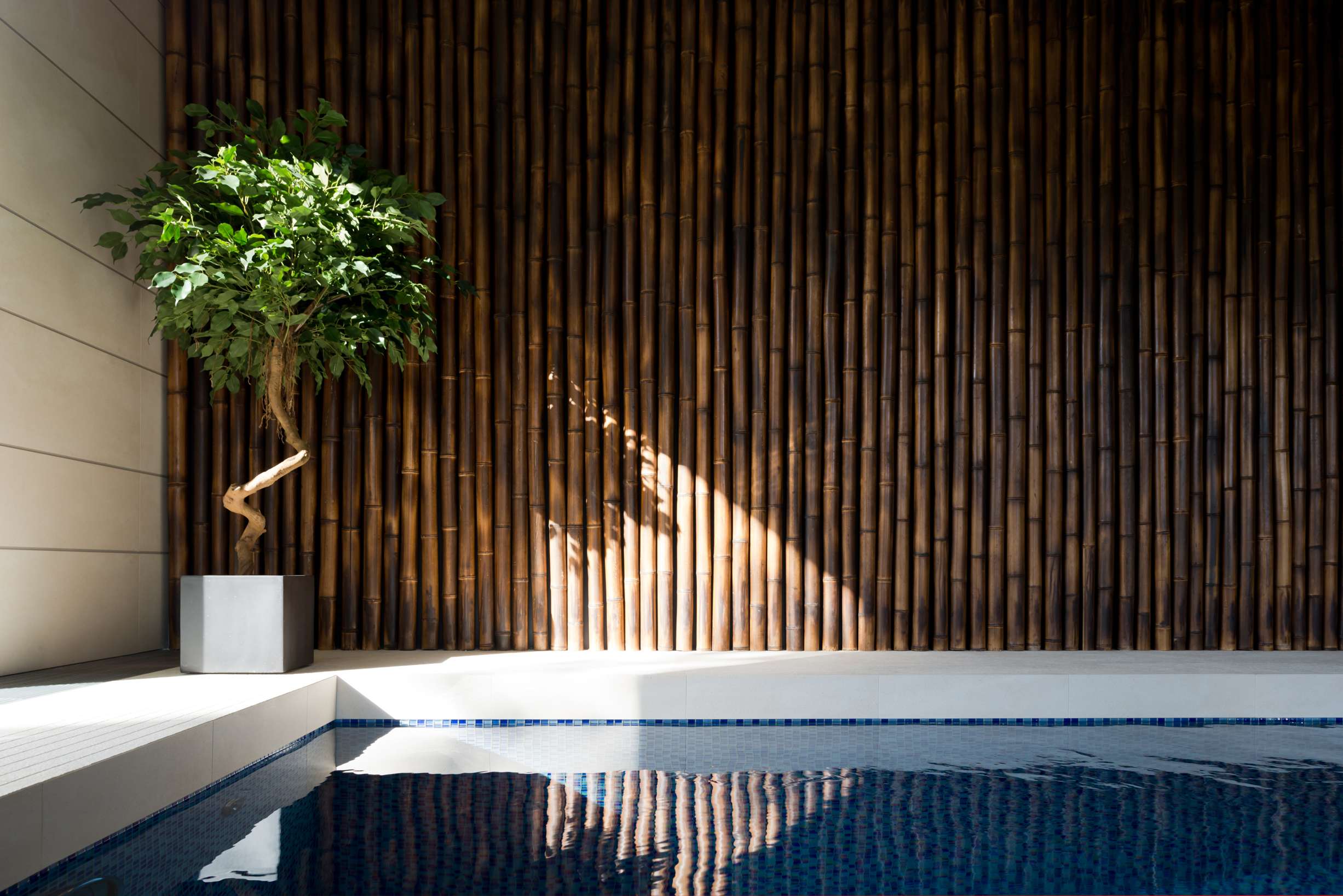 House in the village of Marfino Alexandra Fedorova-23