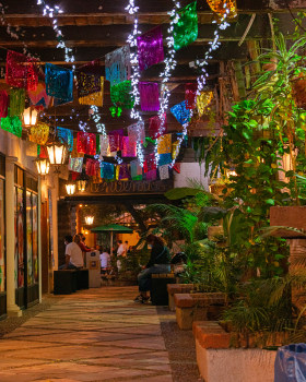 Tlaquepaque Rosa