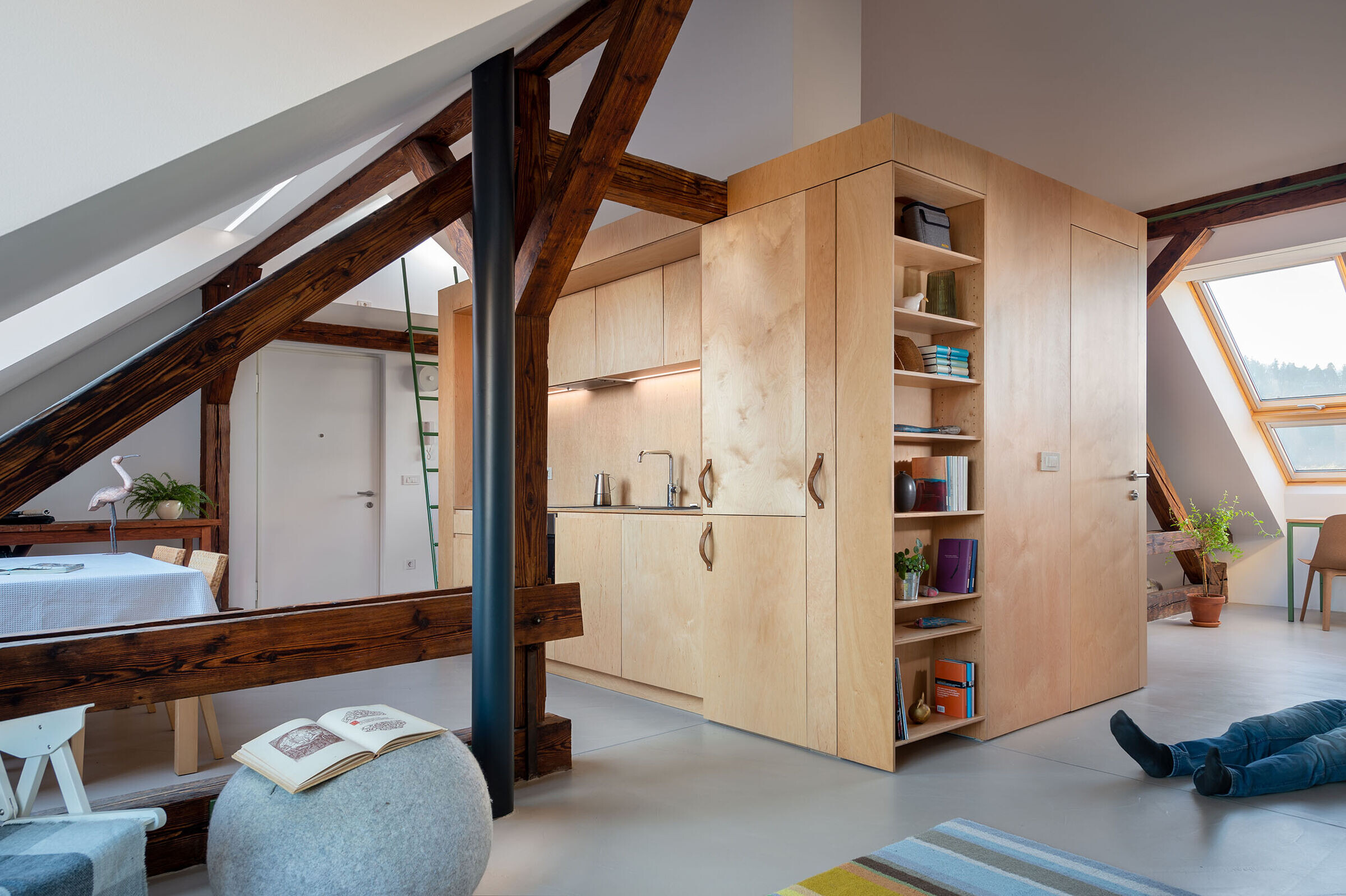 斯洛文尼亚 Ljubljana 市 TIVOLSKA 区的阁楼公寓-11