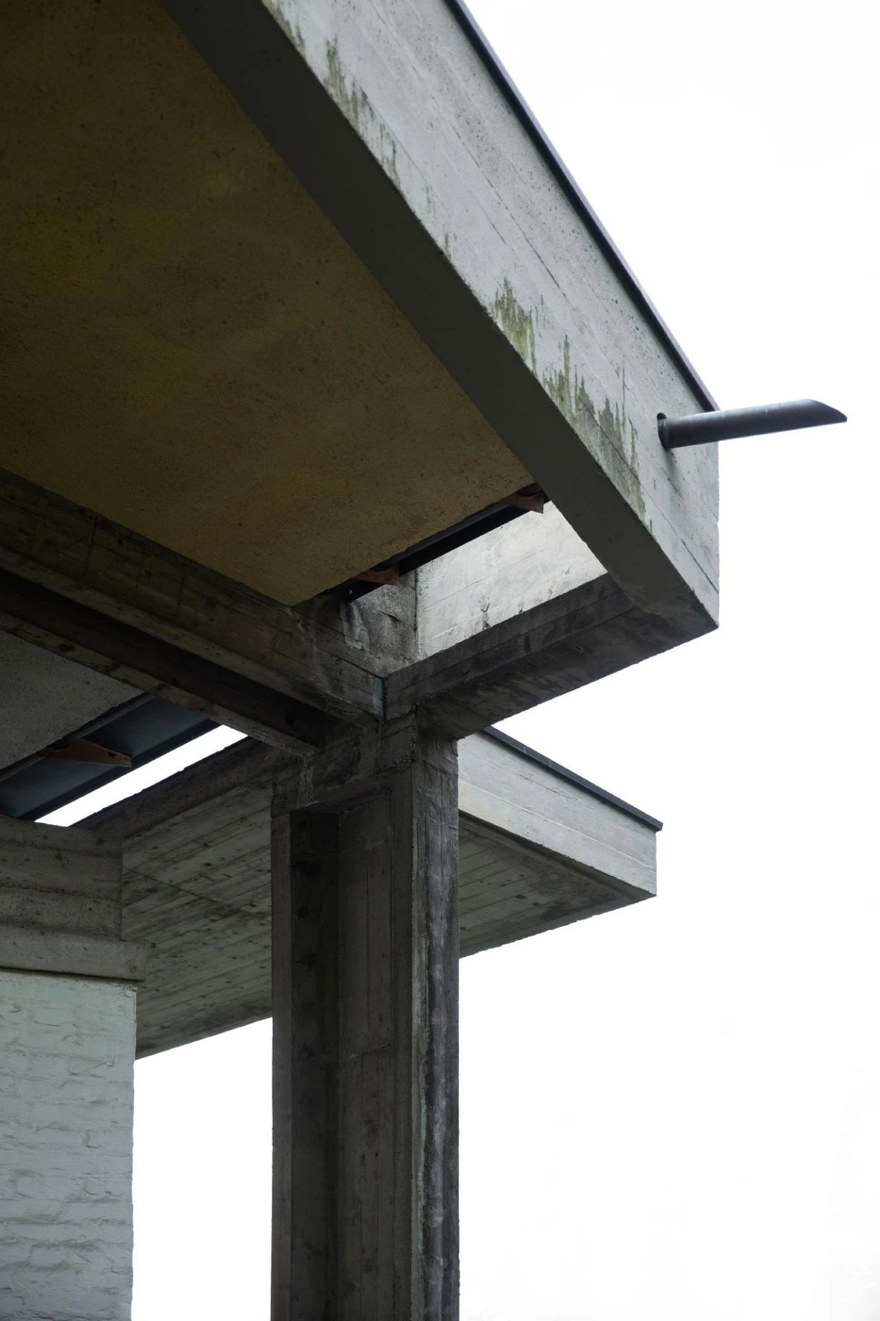 贝里尼之家丨意大利丨Umberto Riva-13