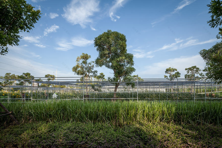 都市农场,泰国 / Integrated Field Co.,Ltd.-62